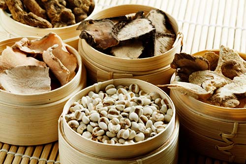 Noosa Chinese Herbal Medicine